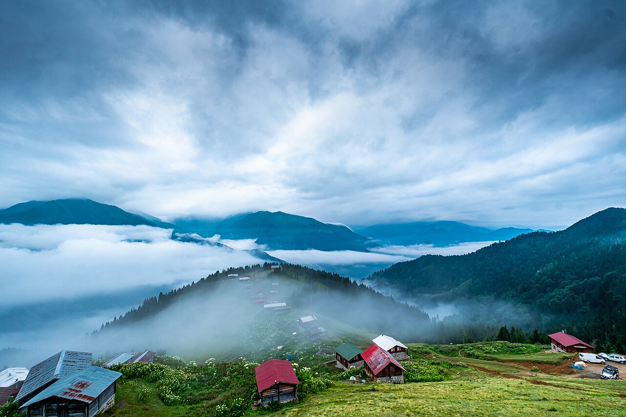 Rize