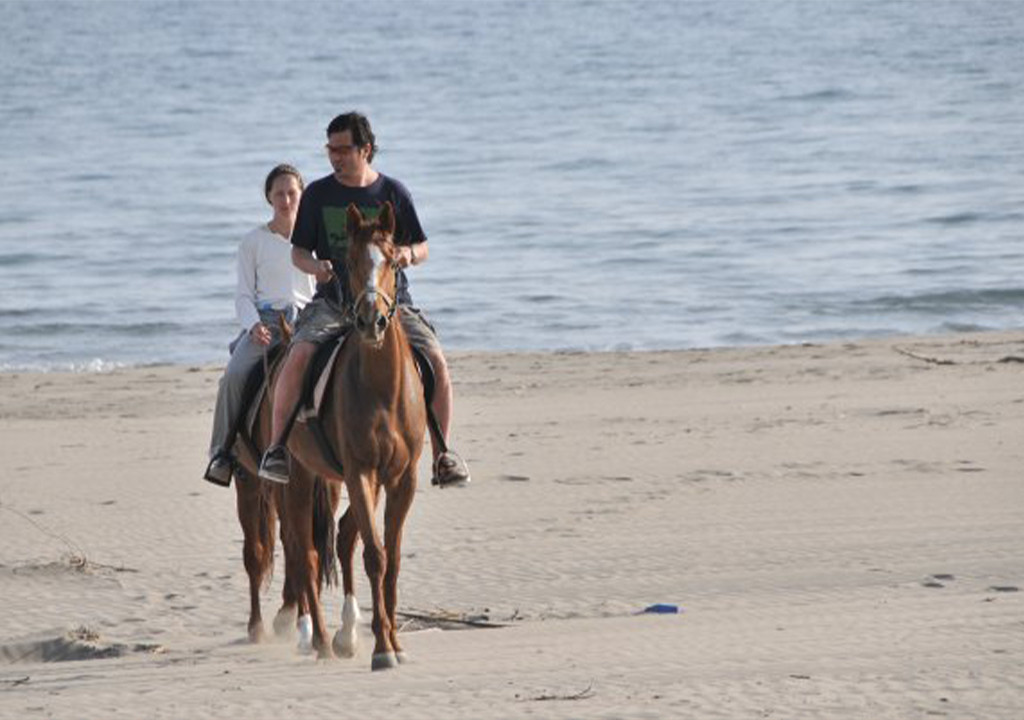 Horse Riding
